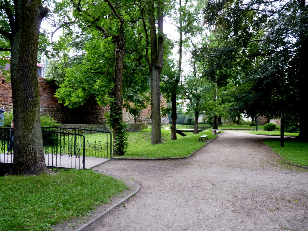 Brodnica  Przedzamcze