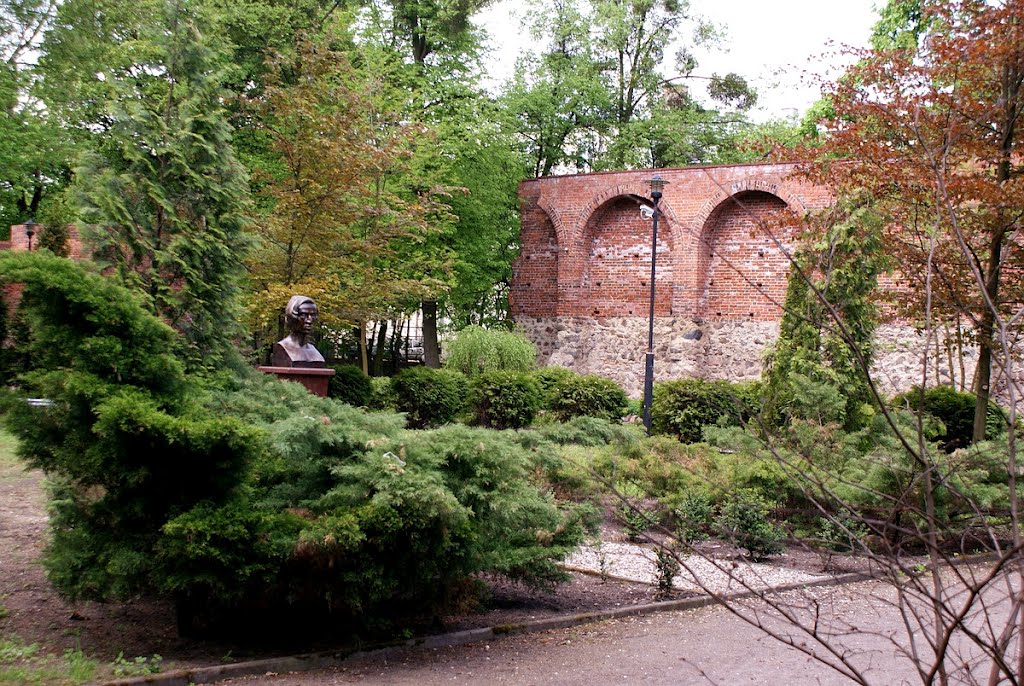 Brodnica