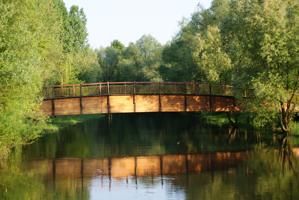 BRODNICA the Drwęca