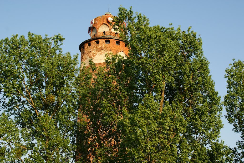 BRODNICA castle tower