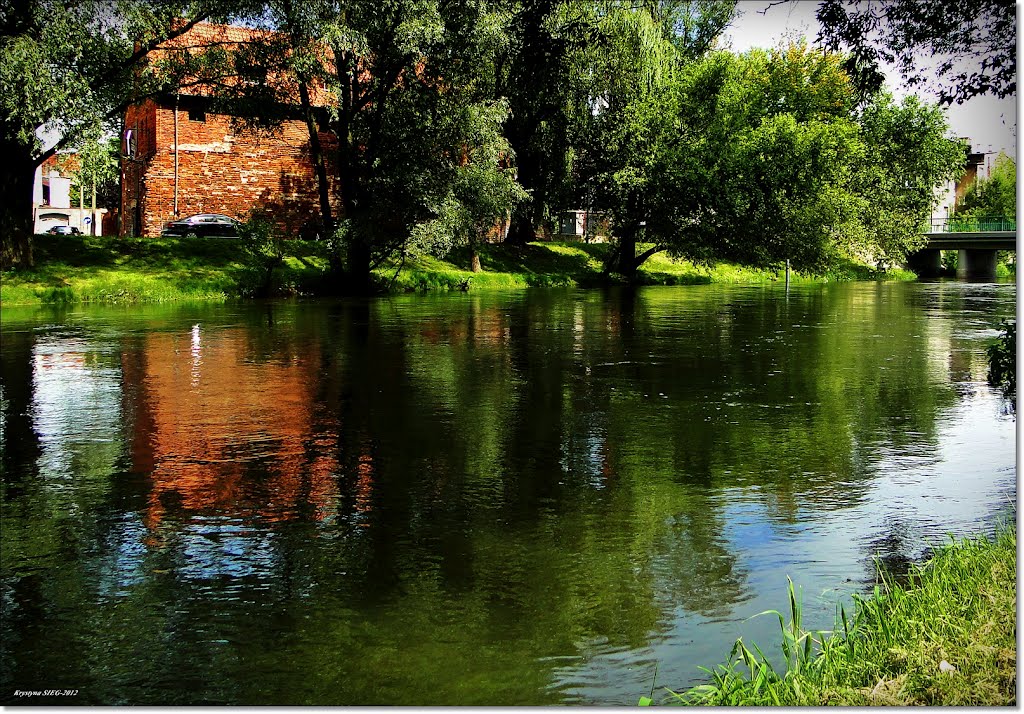 Nad Drwęcą..[ks]