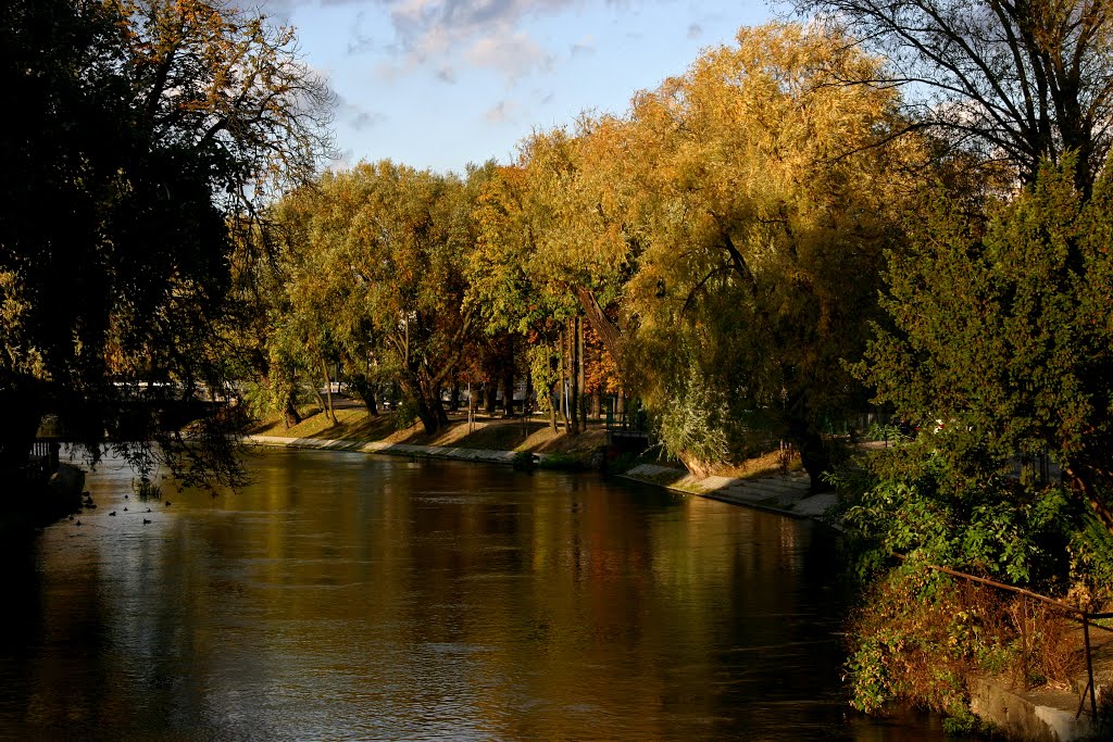 Wyspa Młyńska
