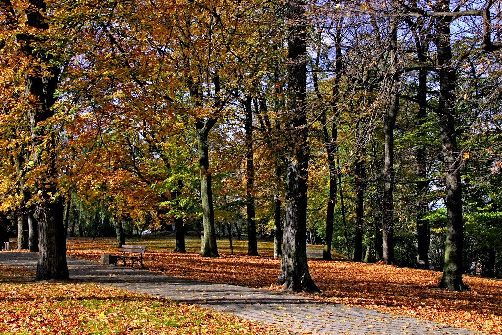 Autumn