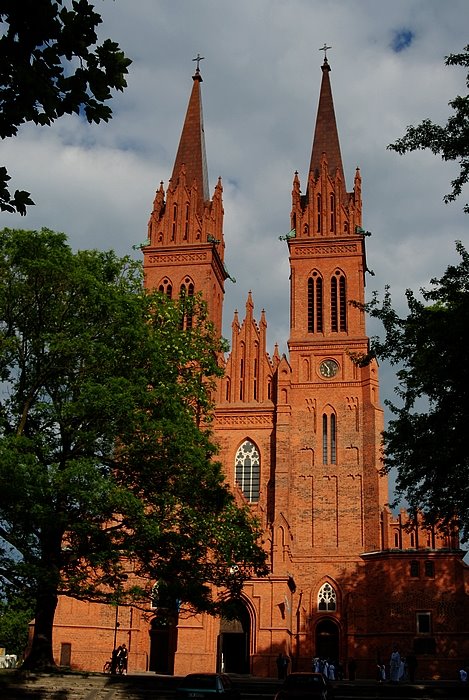 Włocławek, Katedra