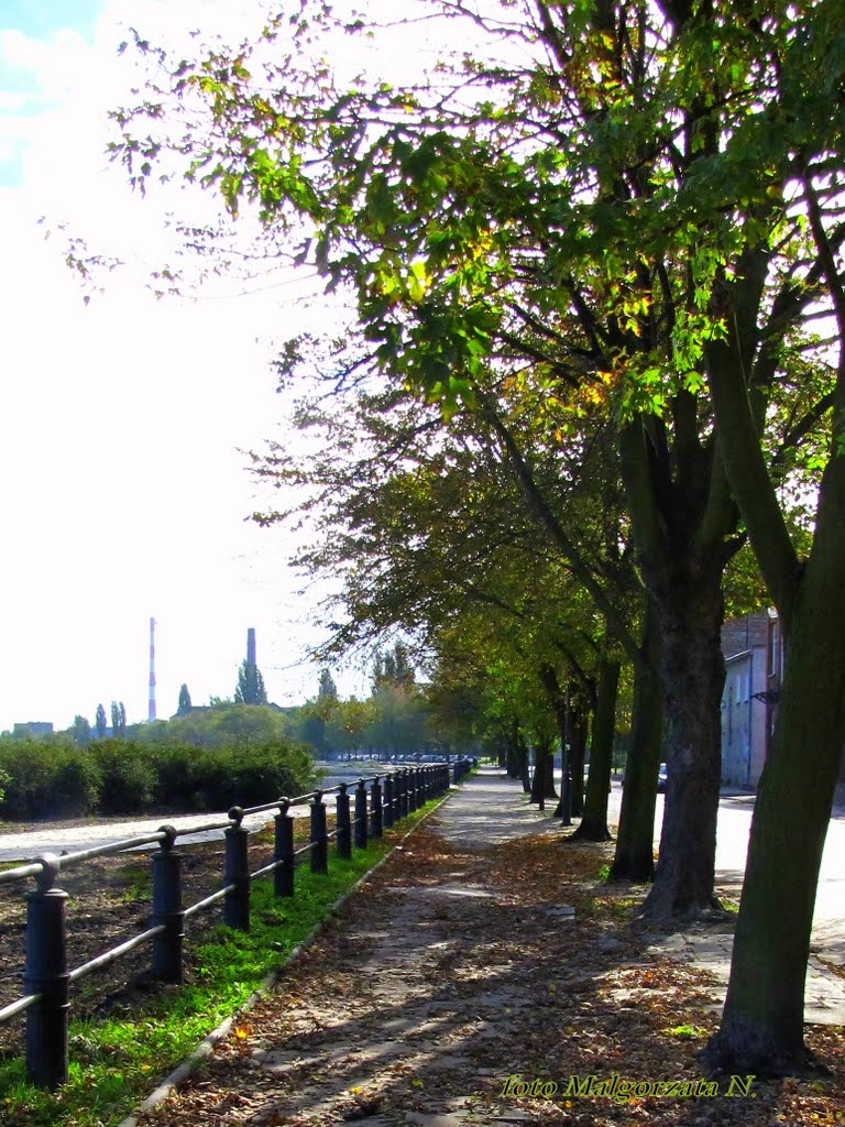 Bulwary Wiślane, Vistula Boulevards