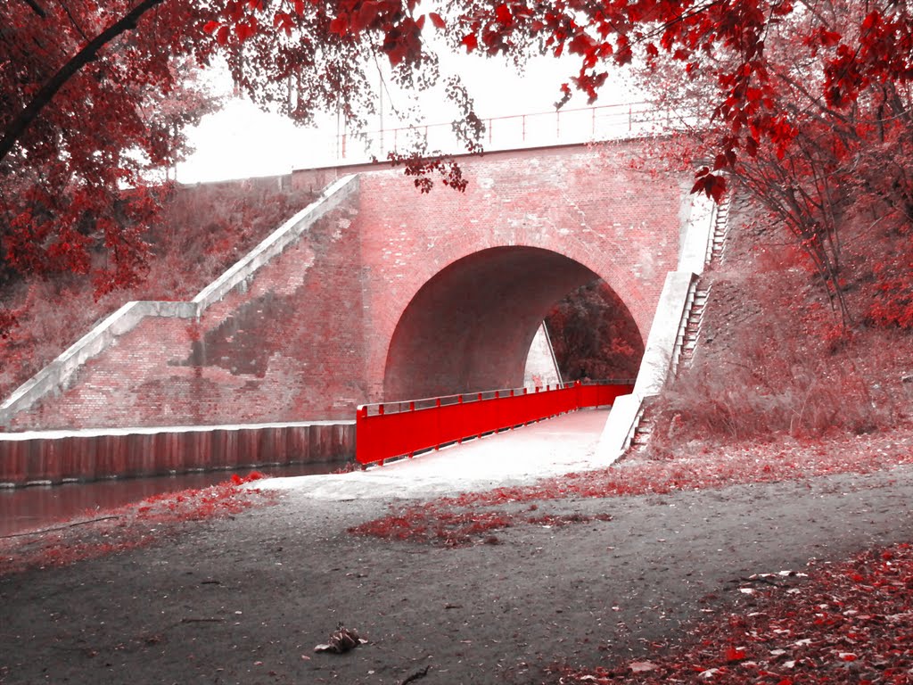 Park in autumn.
