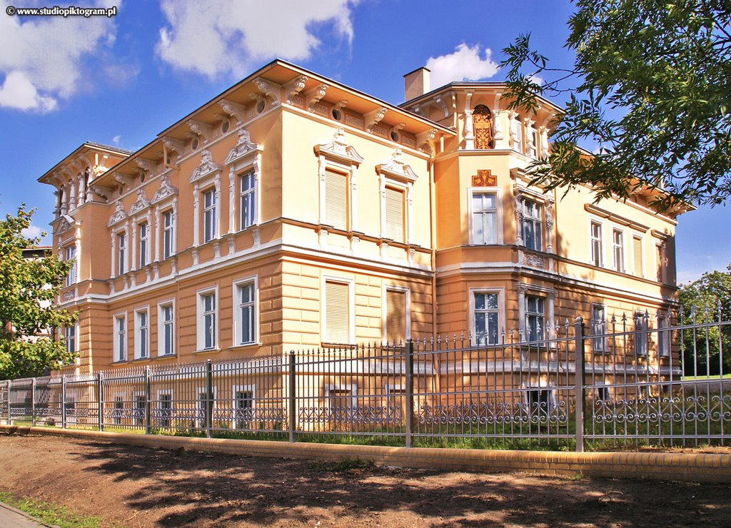 Muzeum