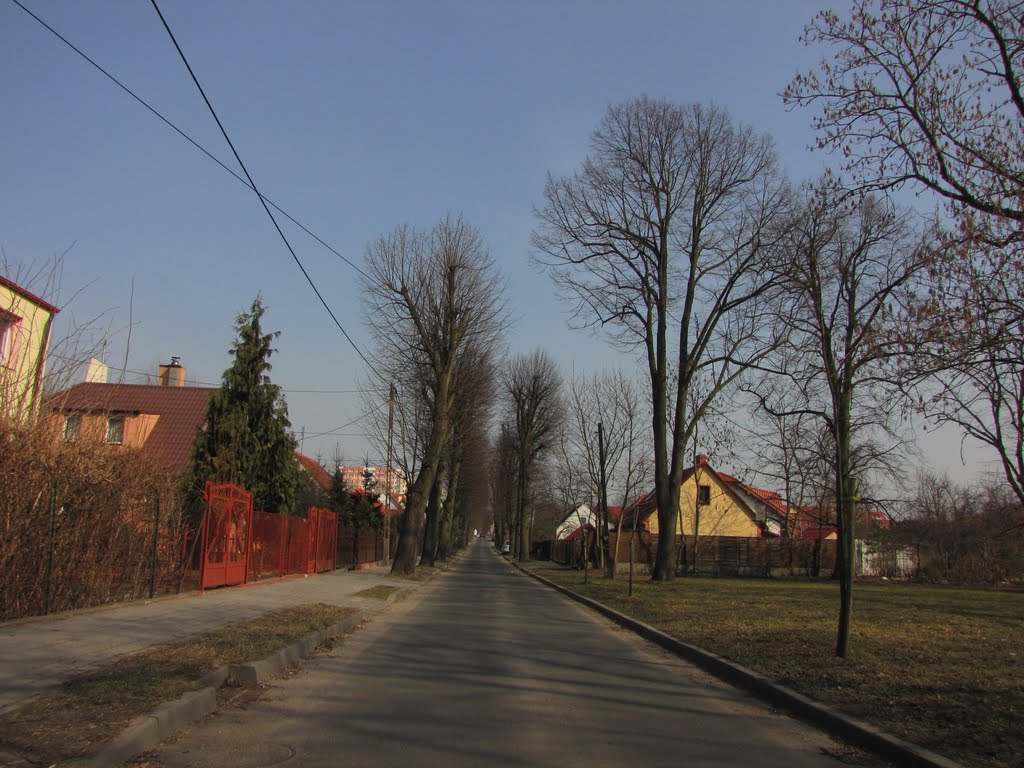 Inowrocław - ul. Lipowa