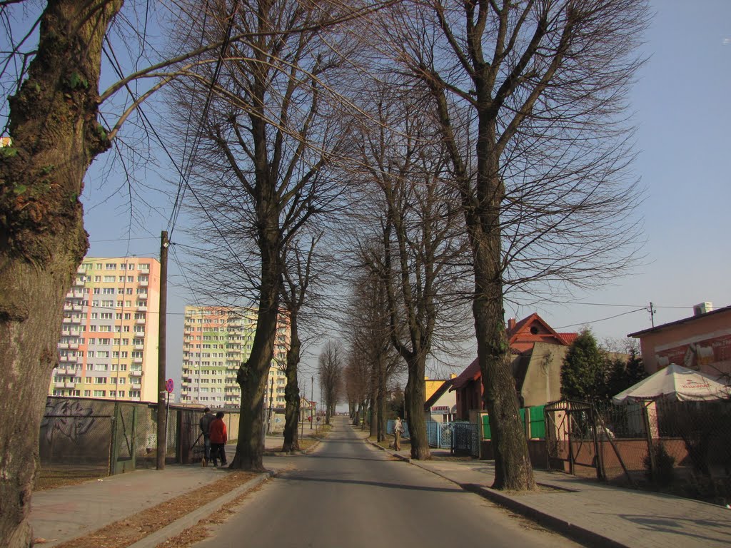Inowrocław - ul. Lipowa oś. Piastowskie