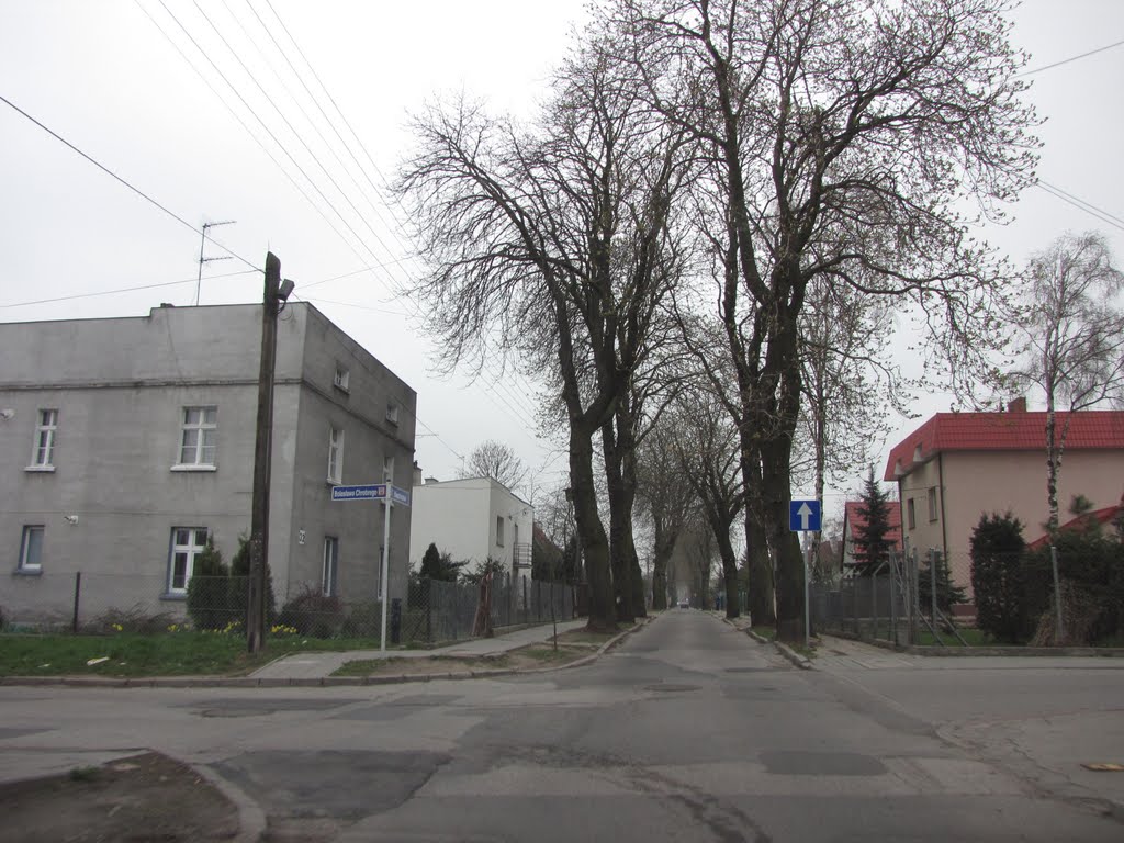 Inowrocław - skrzyż. ul. Kasztanowej i Bolesława Chrobrego
