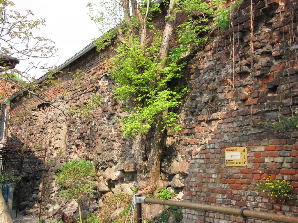 Inowrocław - mur obronny z czasów panowania Książąt Piastowskich