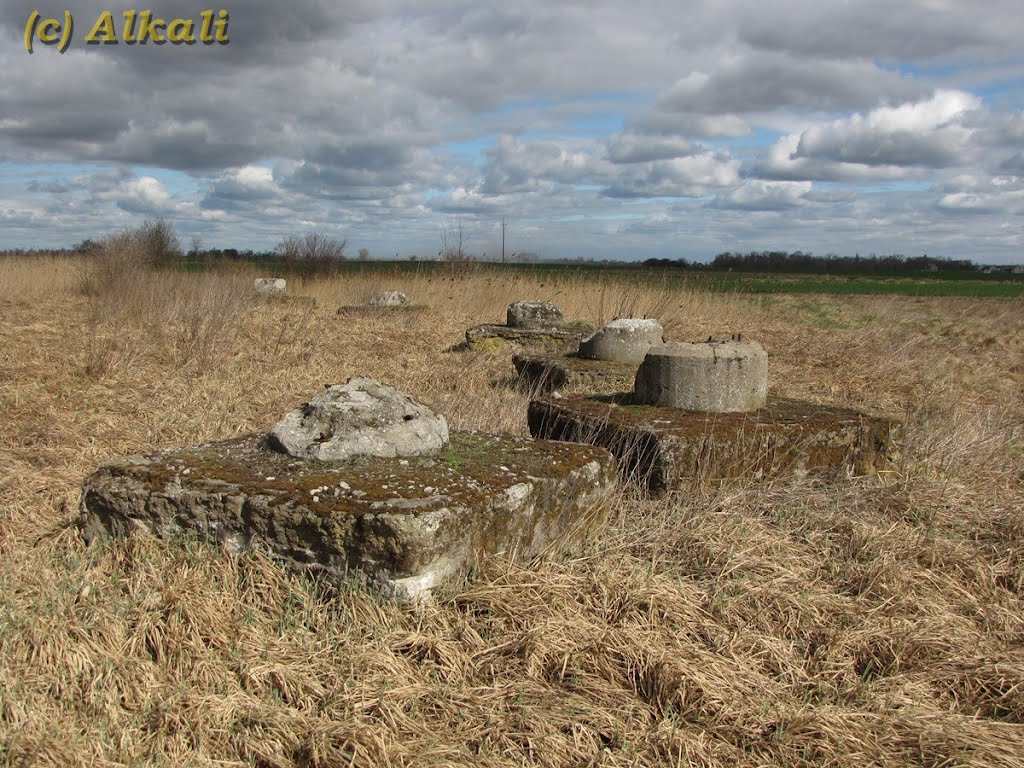 Inowrocław - Podstawy armat plot. Schneider 7,5 cm Flak 97(f)  (Betonsockel / Concrete base for Beute Kanone Schneider 7,5 cm Flak 97(f) )