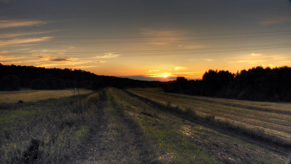 sunsetfield