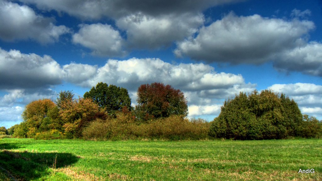 Colors of Autumn