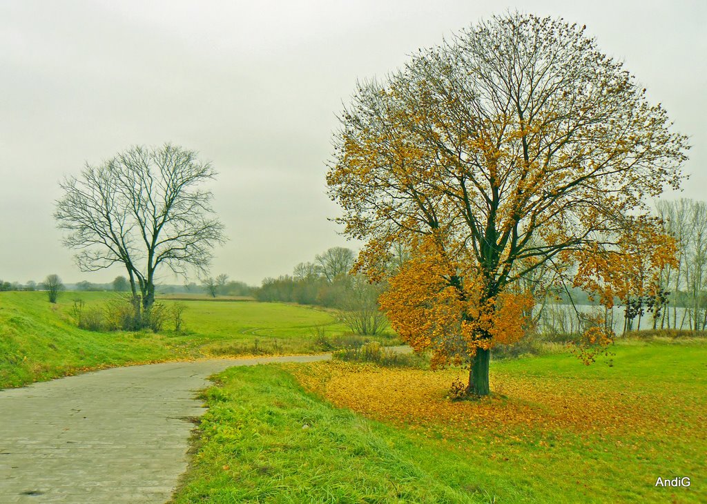 Autumn
