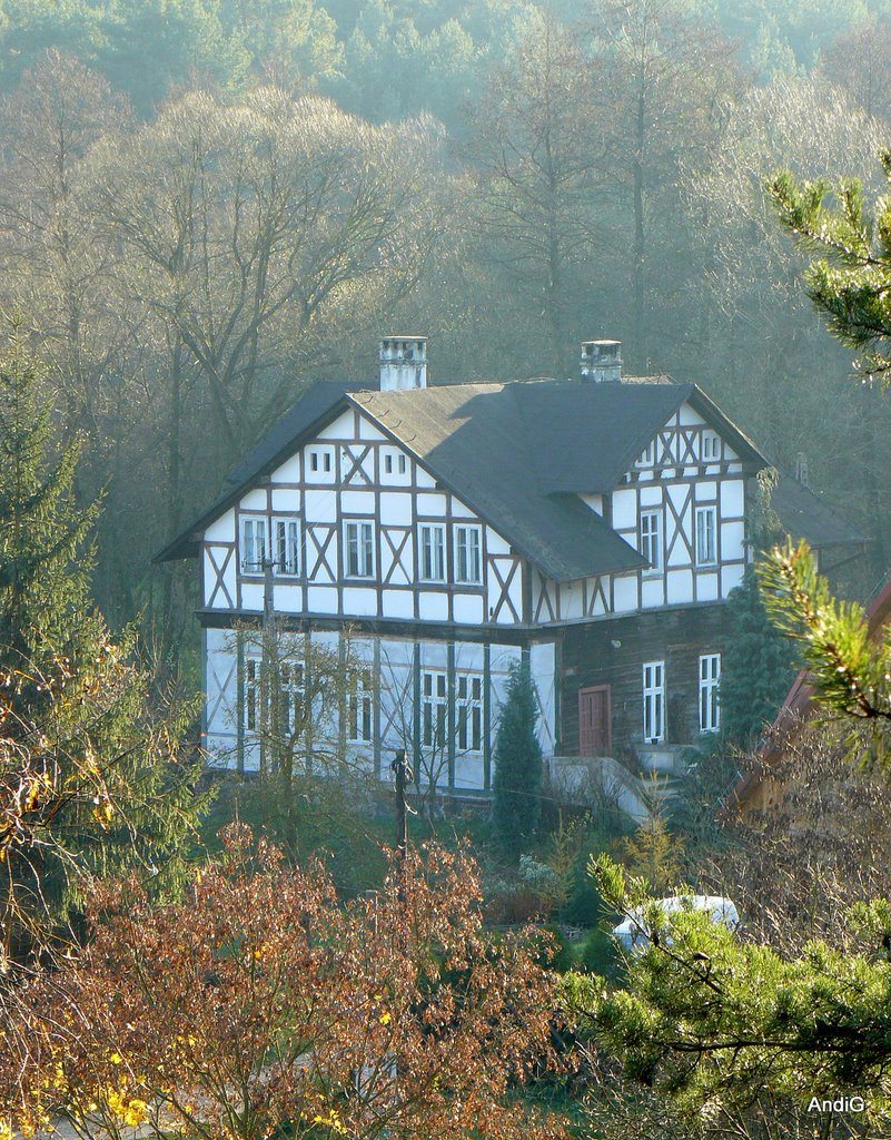 Nadleśnictwo
