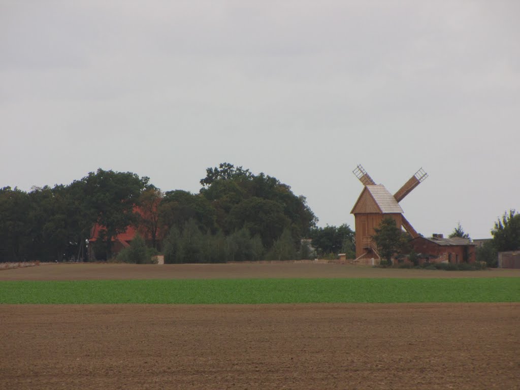Bierzgłowo - wiatrak