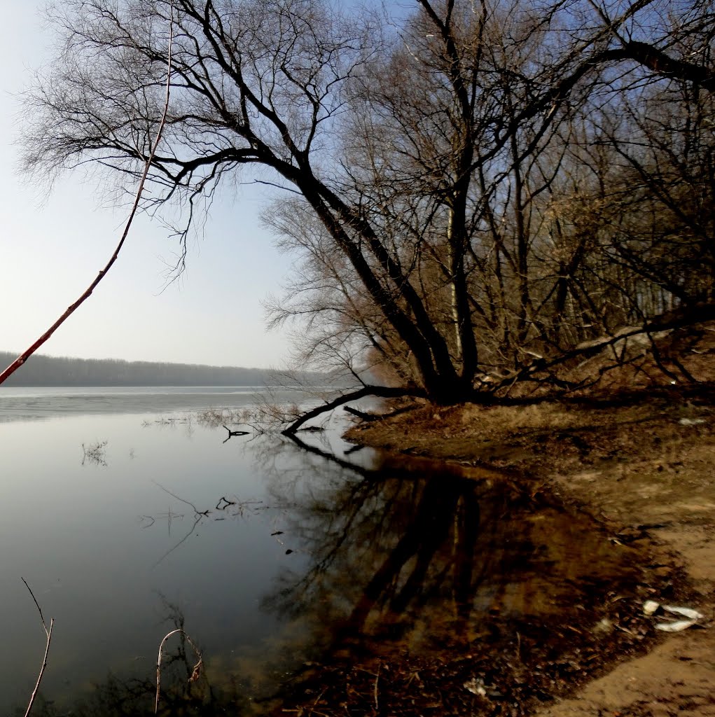 Port Wood in Torun / Port Drzewny w Toruniu