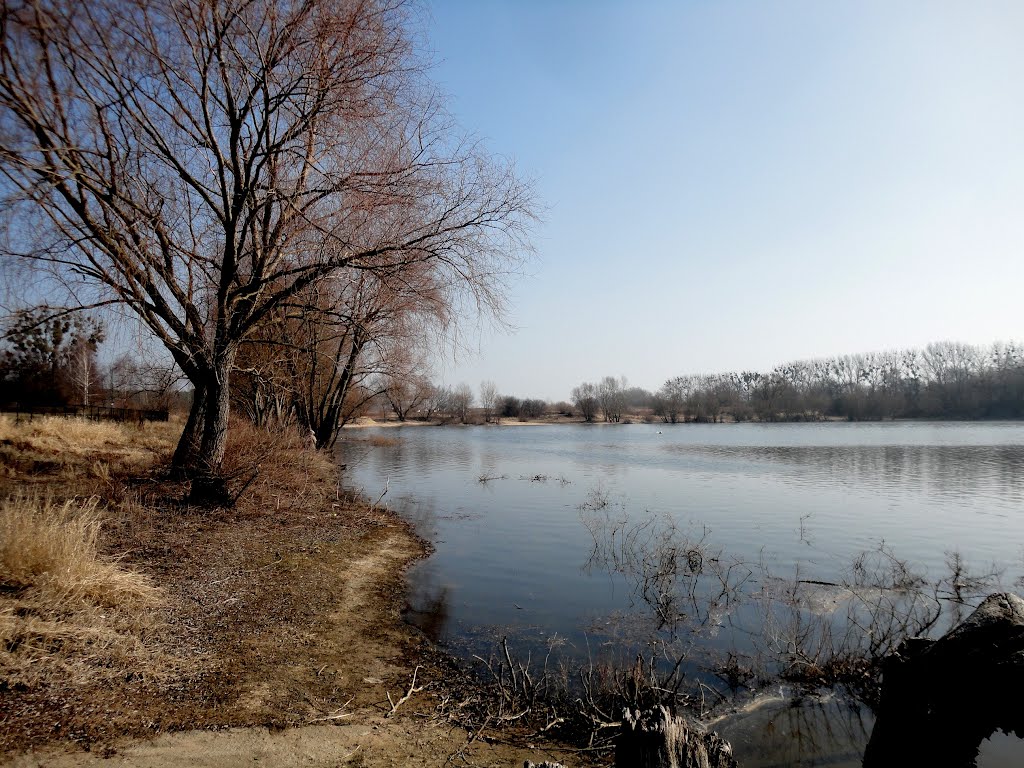 Port Wood in Torun / Port Drzewny w Toruniu