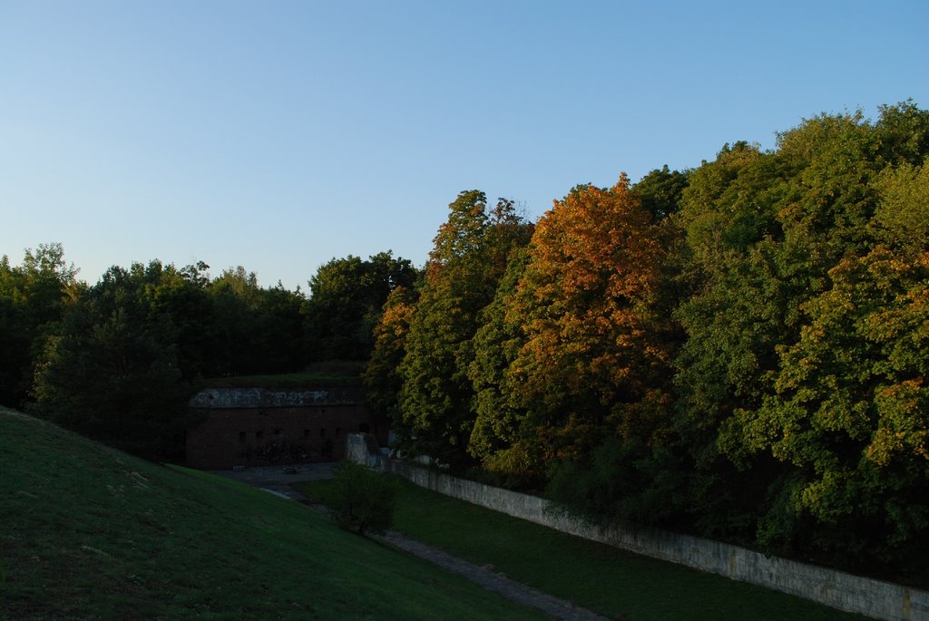 Fort VII