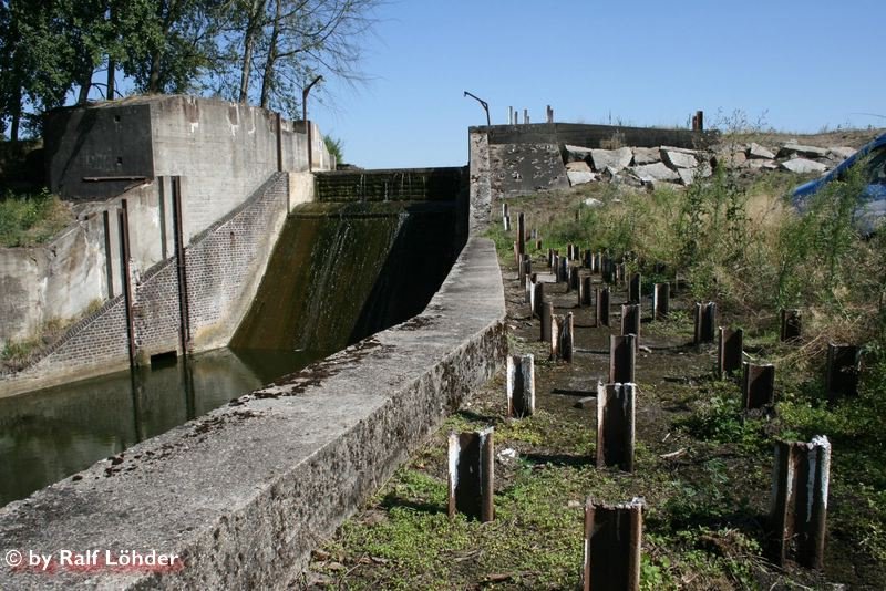 Czerwieńsk