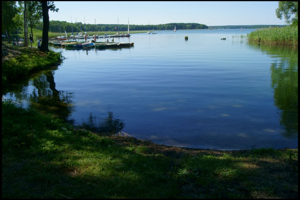 Świebodzin
