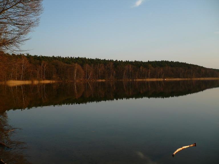 plaża borowska, widok z eltermy