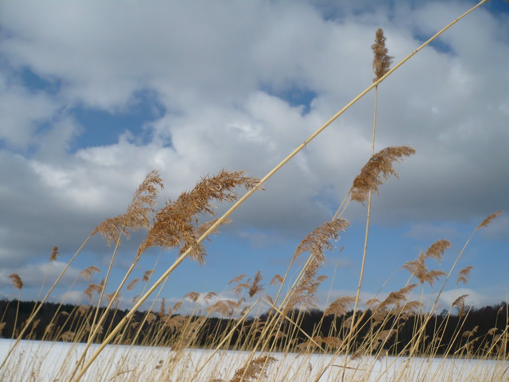 when the winter was strong... and sun was sunshine..