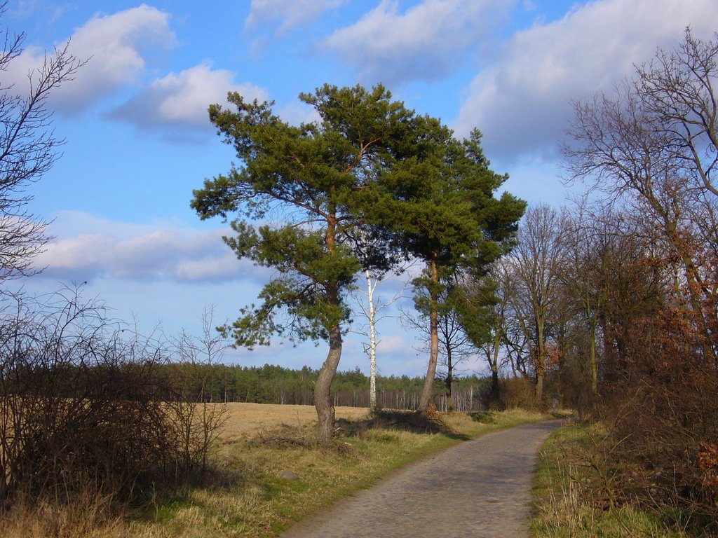 Okolice Zagórza