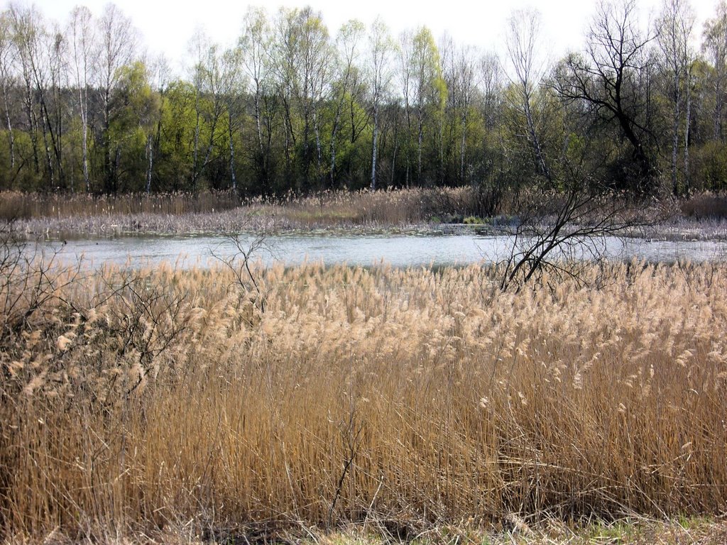 Międzyrzecz