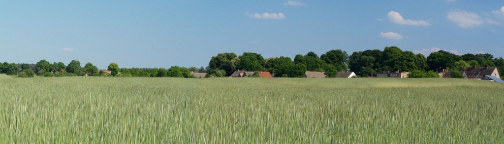 Wieś Zagórze - panorama