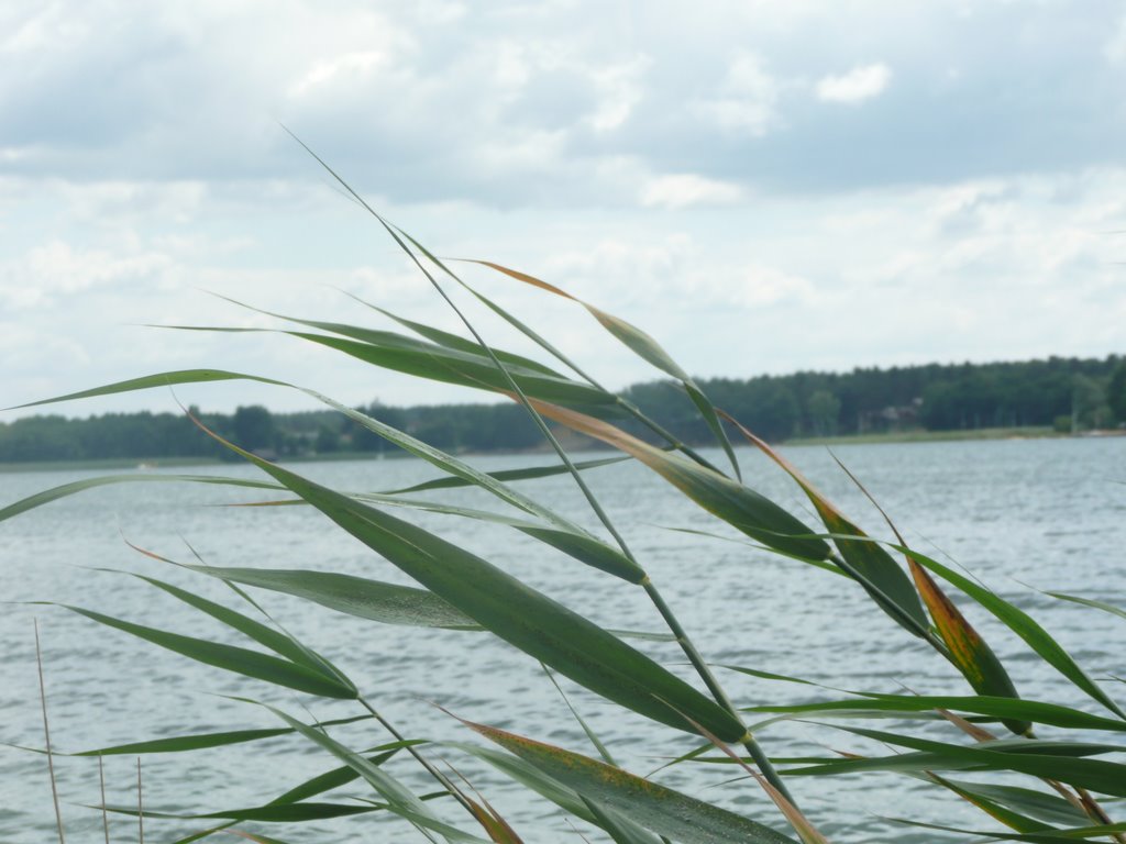 Jeziro Niesłysz