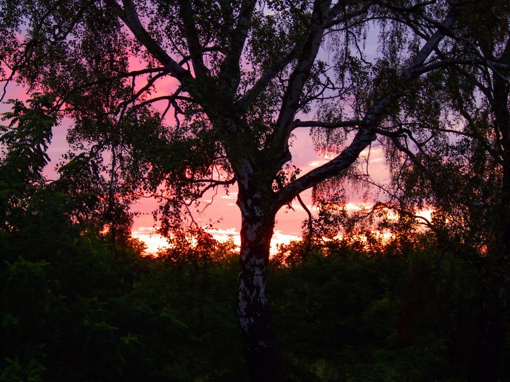 Sunrise in Mostki