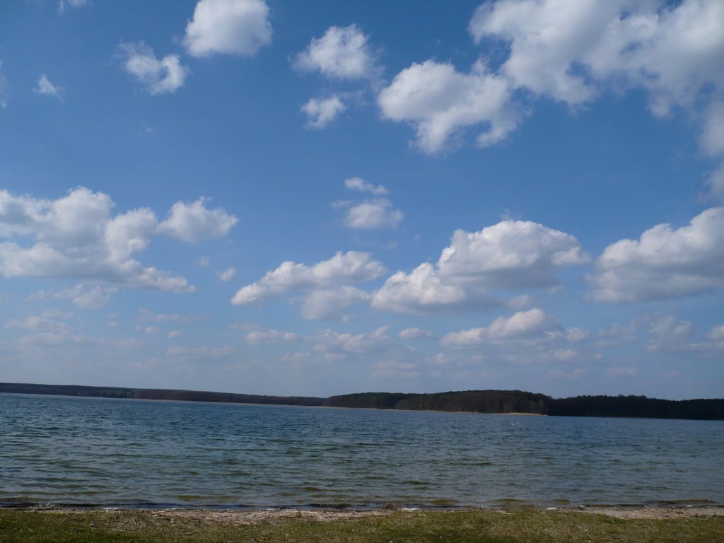 plaża borowska