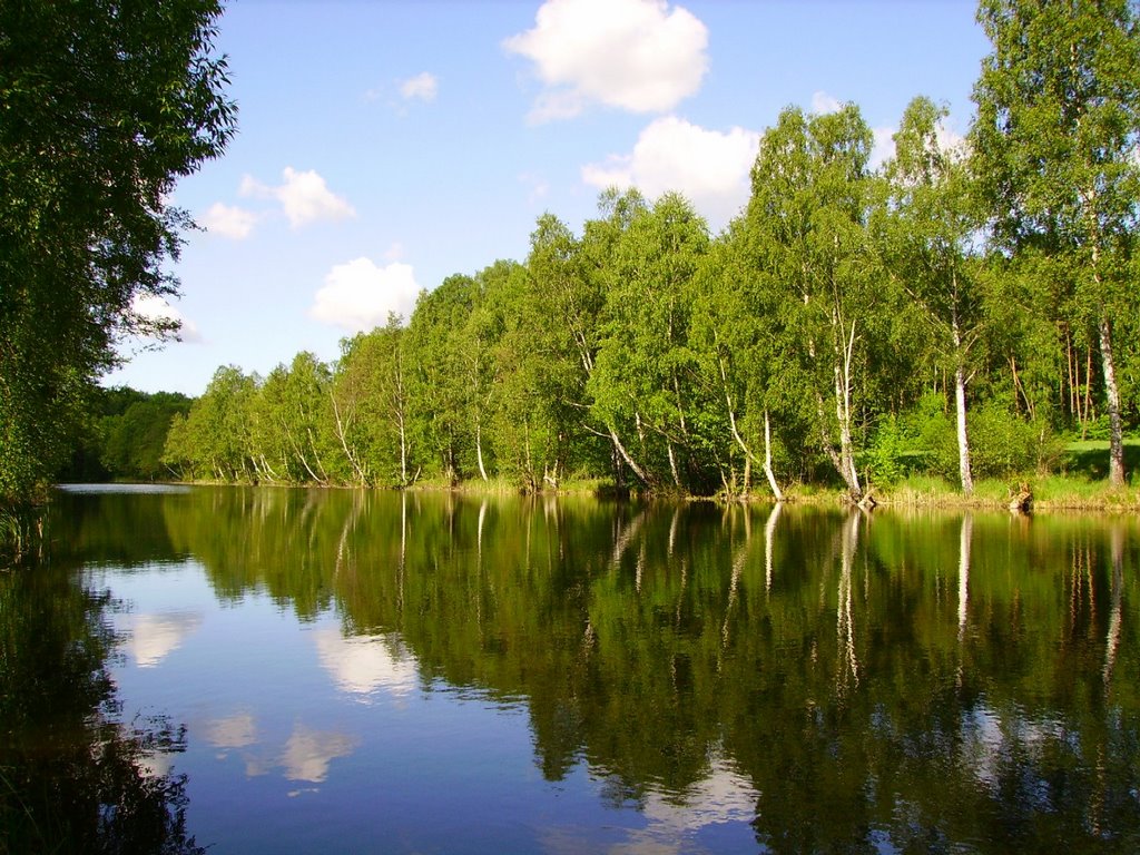 Kanal Mostki