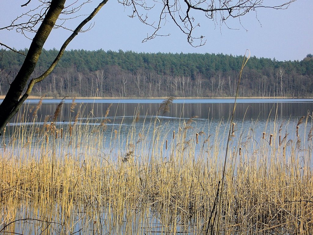 Niesłysz