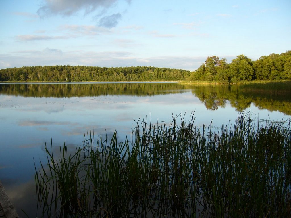 Złoty Potok
