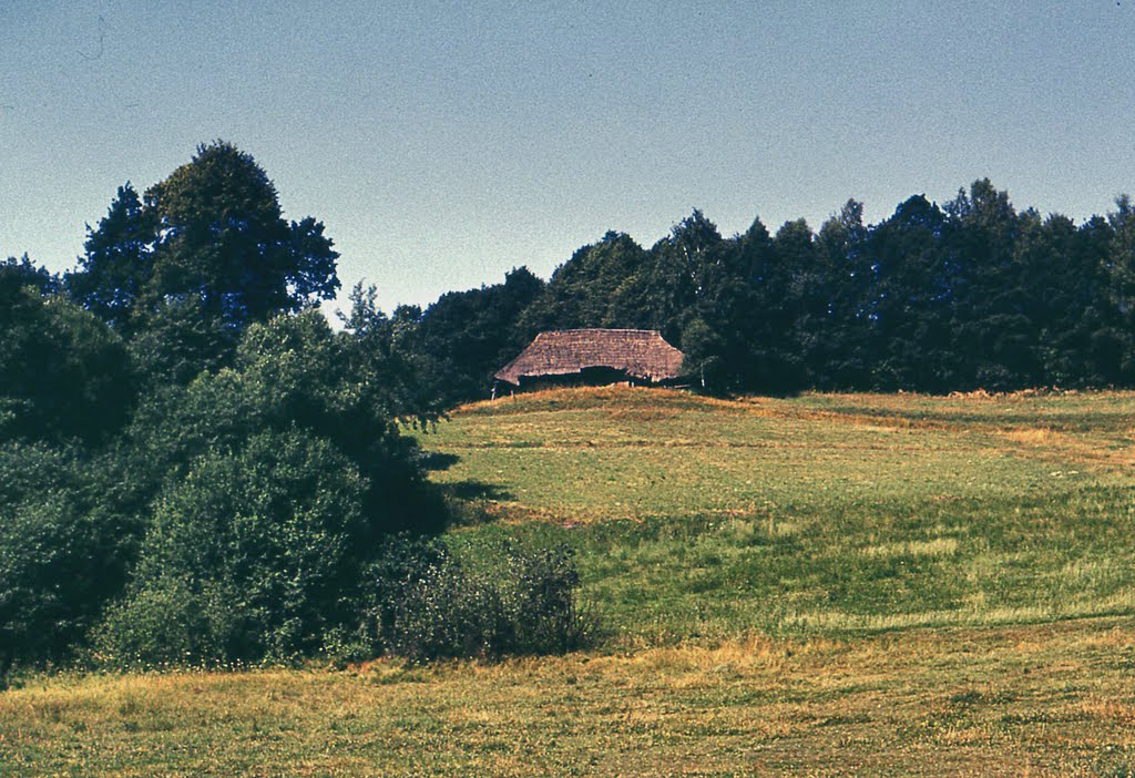Łapanów. Stara stodoła - rok 1976.