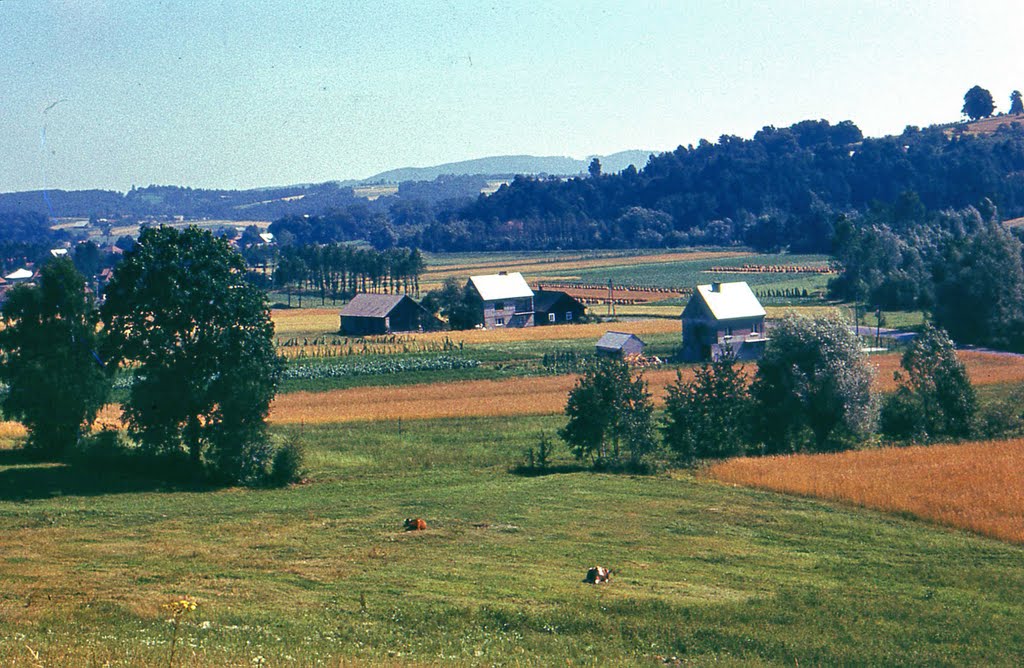 Łapanów. 1976