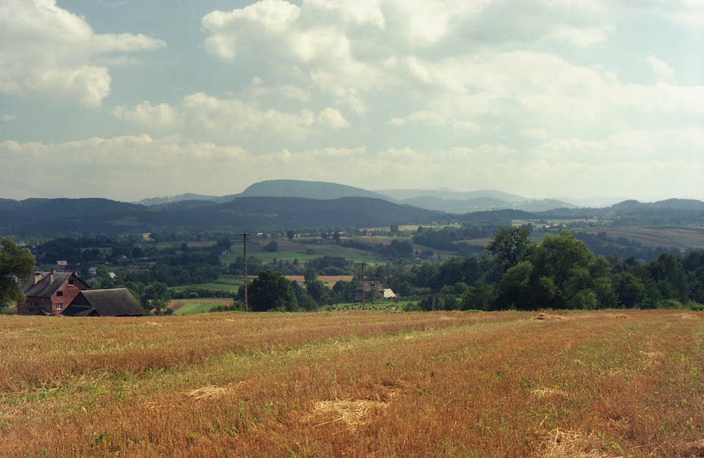 Łapanów (1998) - Widok na Kostrzę