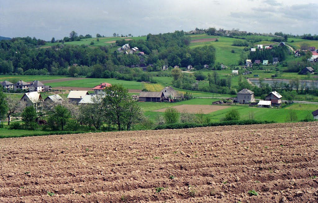 Łapanów (1995)