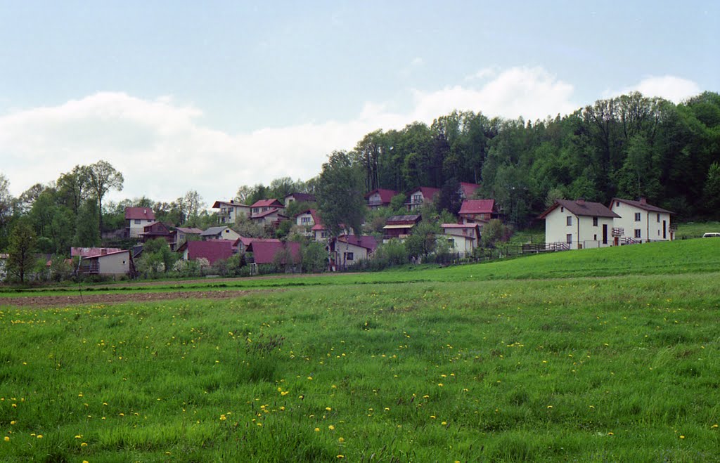 Łapanów (1995)