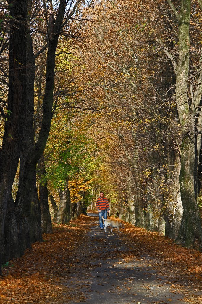 Jesień w parku, Gorlice, Polska