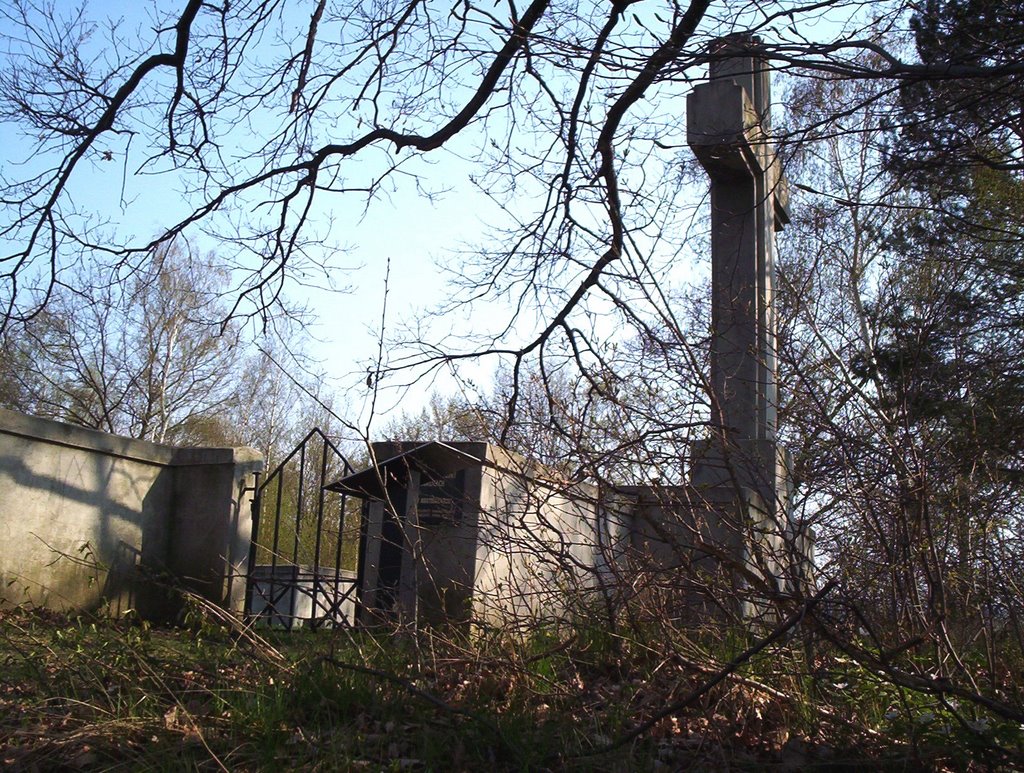 WWI Military Cemetery no:88- Gorlice(20 Austrians)