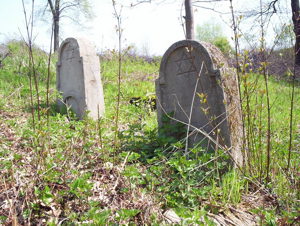 Military Cemetery no:90- Gorlice (6 Austrians)