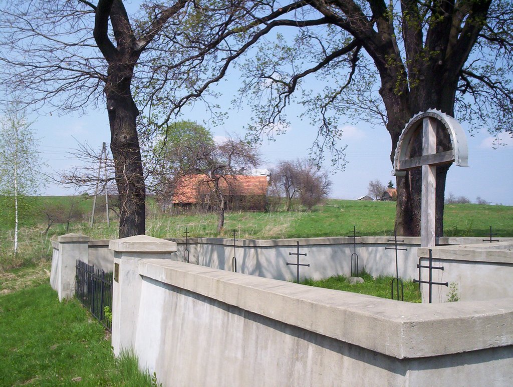 Military Cemetery no:92- Gorlice(98 Russians)