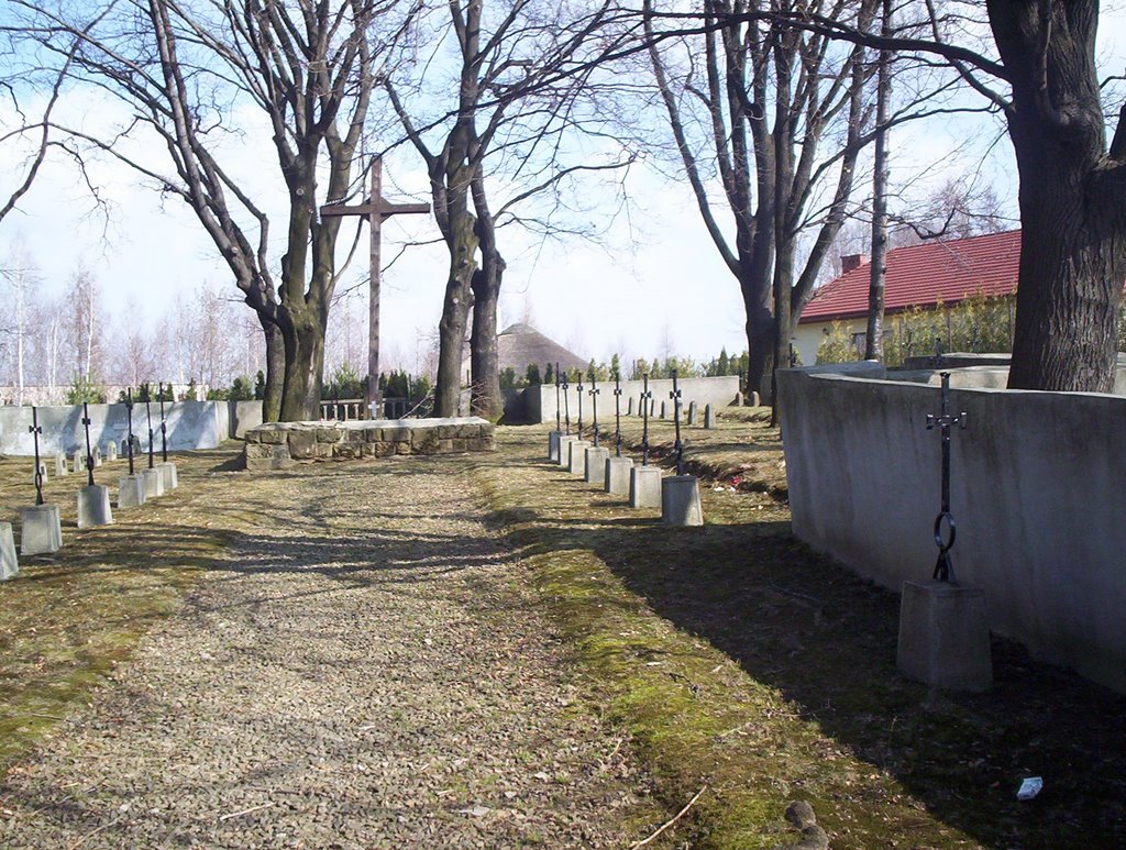WWI Military Cemetery no: 87-Gorlice