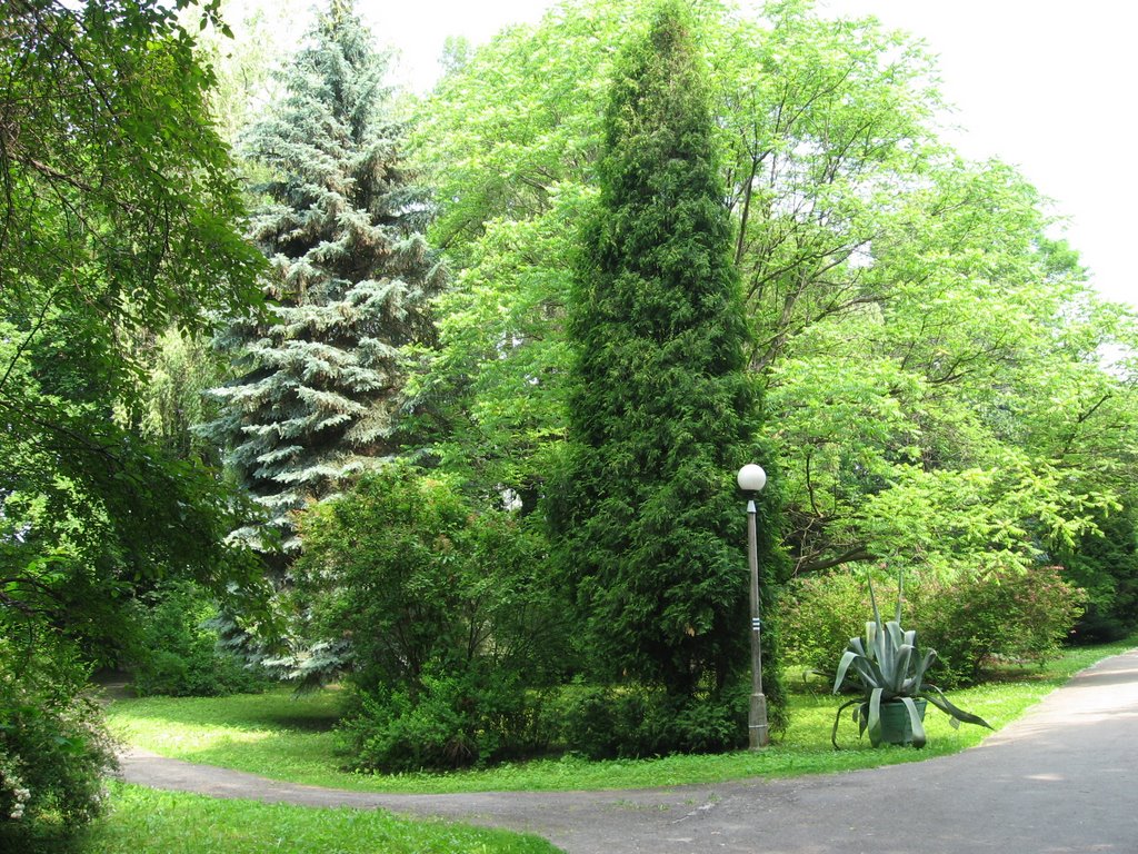 Park miejski w Gorlicach