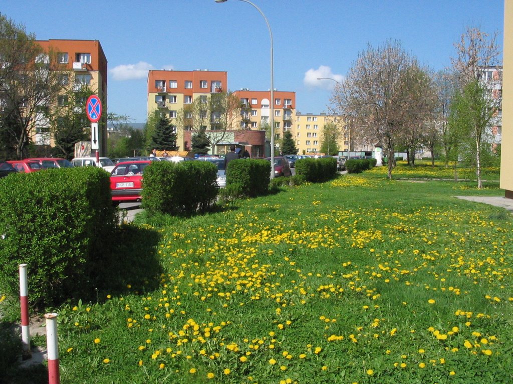 ulica Konopnickiej