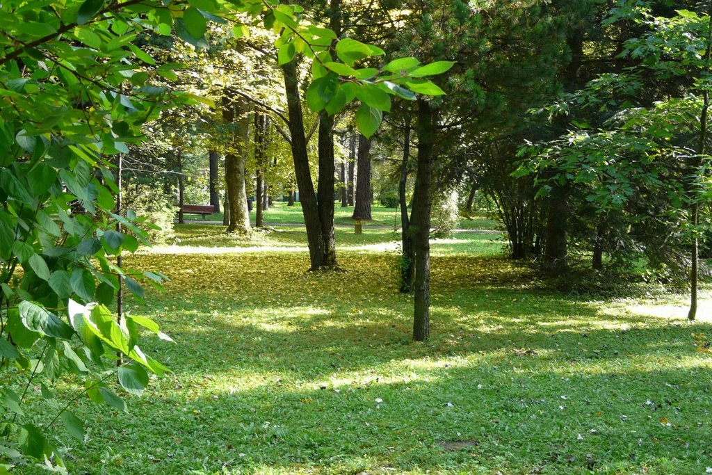 Park alleys at Gorlice, Poland